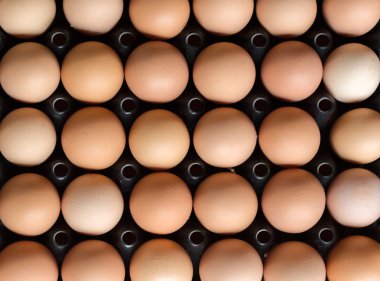 Top View Group of Egg