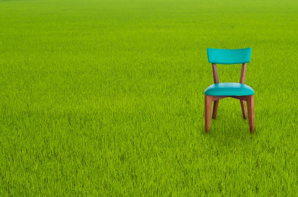 Chaise en bois sur herbe verte — Photo