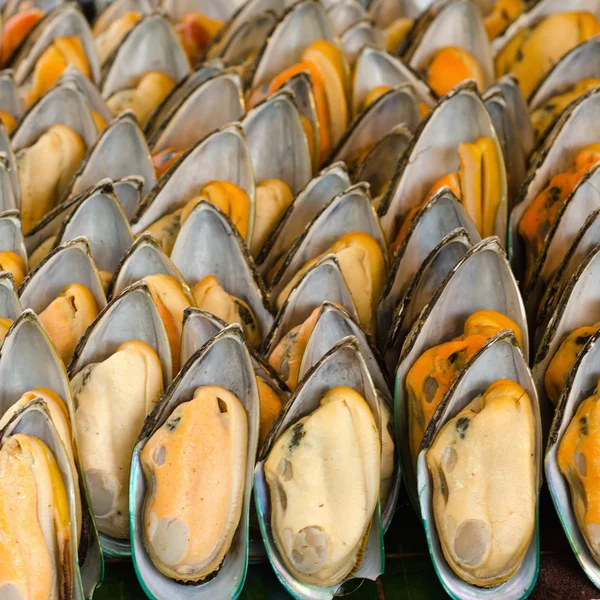 Sortera och förbereda musslor — Stockfoto