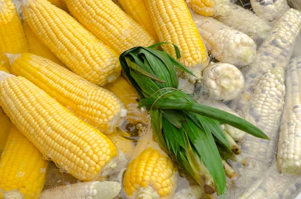 Corn boiled in water and pandan — Stock Photo, Image