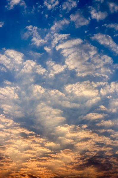 Beautiful blue morning — Stock Photo, Image