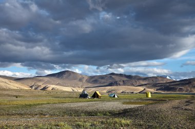 manzara