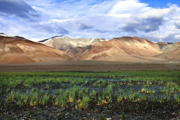 风景 — 图库照片