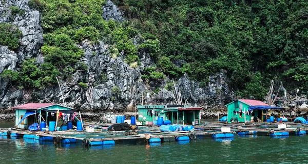 湾に沿って — ストック写真