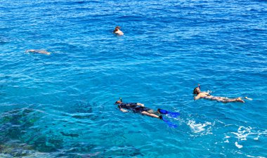 Kızıl Deniz 'e dalmak