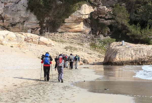 group of hikers