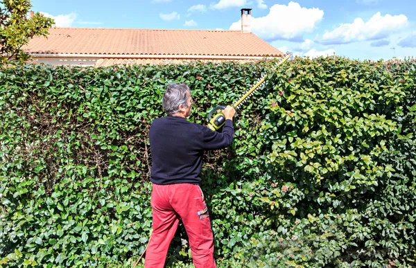 Trim the hedge — Stock Photo, Image