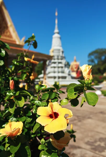 Pagoda — Foto Stock