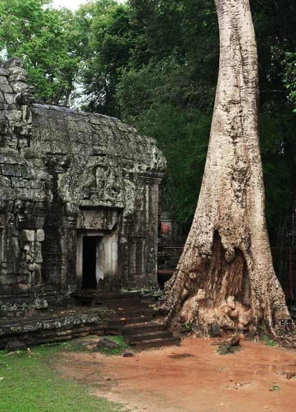 Angkor vat — Stock fotografie