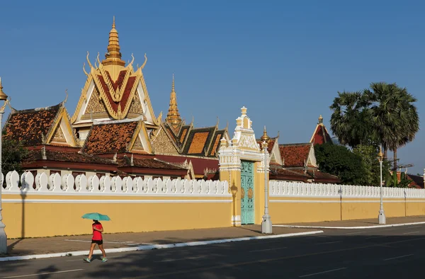 Penne di Phnom — Foto Stock