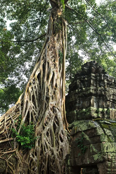 Barco de Angkor — Fotografia de Stock