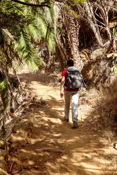 Gomera Adasında Yürüyüş Yapan Bir Kadın — Stok fotoğraf