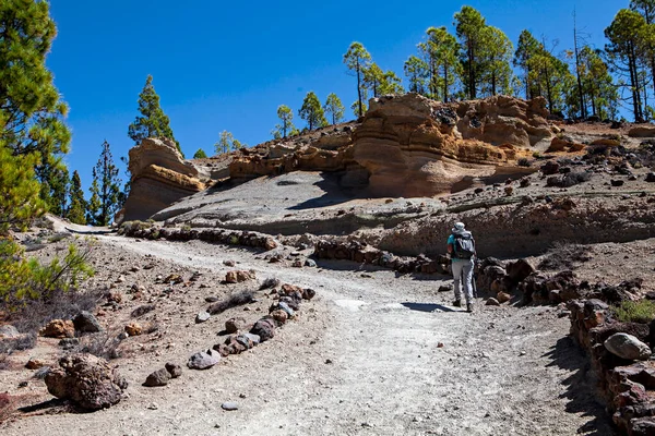 Vrouw Wandelen Tenerife Eiland — Stockfoto