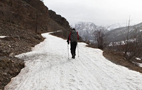 Karda Yürüyen Kadın — Stok fotoğraf