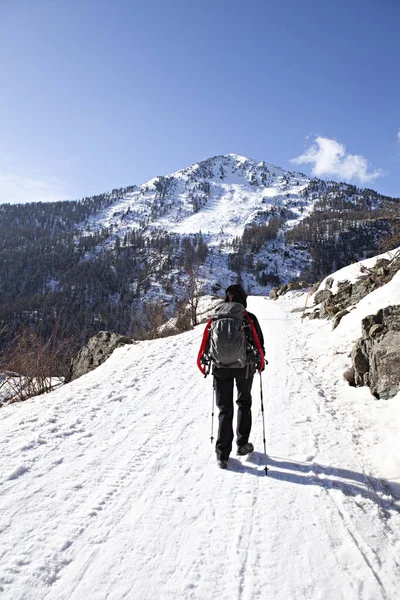 Woman Walking Snow Alps — Stock Photo, Image