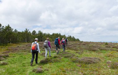 Yolda yürüyen bir grup yürüyüşçü