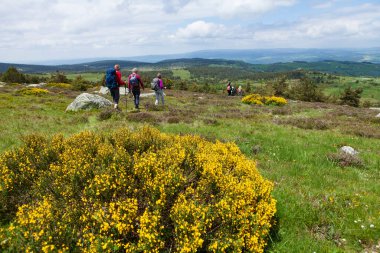 Yolda yürüyen bir grup yürüyüşçü