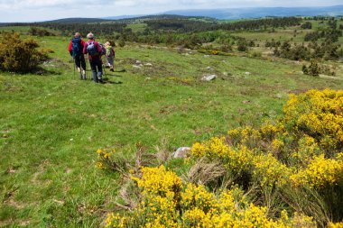Yolda yürüyen bir grup yürüyüşçü