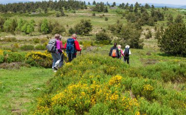 Yolda yürüyen bir grup yürüyüşçü