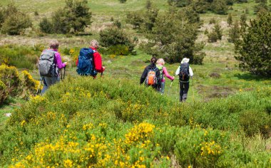 Yolda yürüyen bir grup yürüyüşçü
