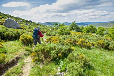 Yalnız gezgin ve süpürge