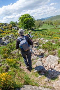 Yolda yürüyen bir grup yürüyüşçü