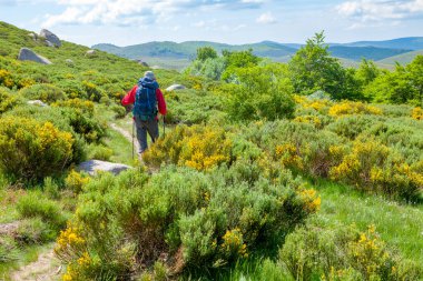 Yalnız gezgin ve süpürge