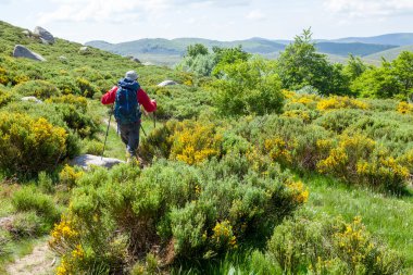 Yalnız gezgin ve süpürge