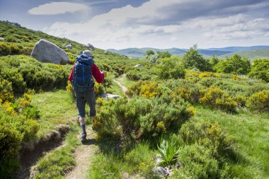 Yalnız gezgin ve süpürge