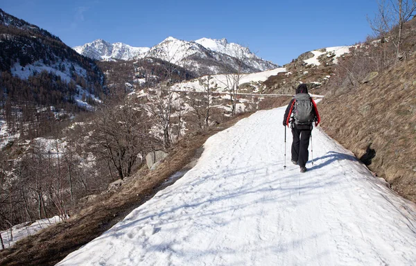 Karda Yürüyen Kadın Alplerde — Stok fotoğraf