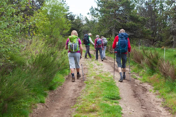 Groupe Randonneurs Marchant Sur Sentier — Photo