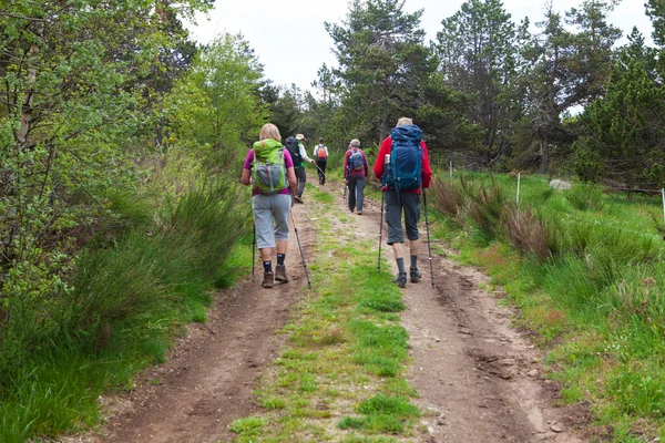 Group Hikers Walking Path — Stock Photo, Image