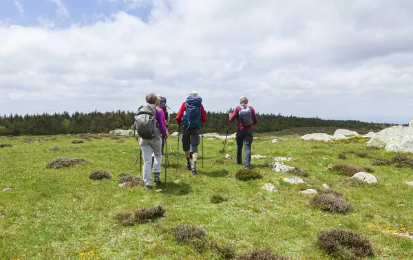 Group Hikers Walking Path — Stock Photo, Image