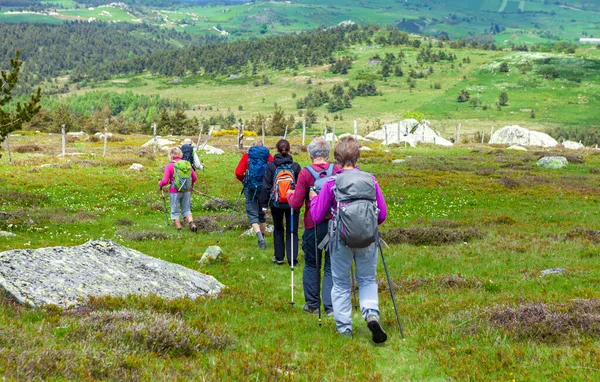 Group Hikers Walking Path — Stock Photo, Image