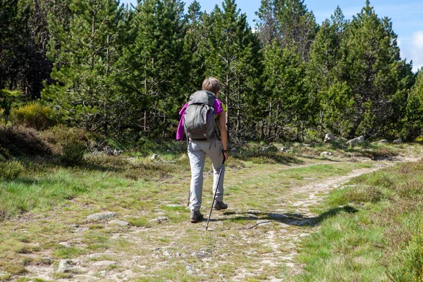 Mujer Praticing Nordic Walking — Foto de Stock
