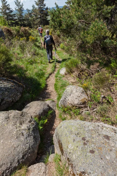 Grupp Vandrare Vandrar Stigen — Stockfoto