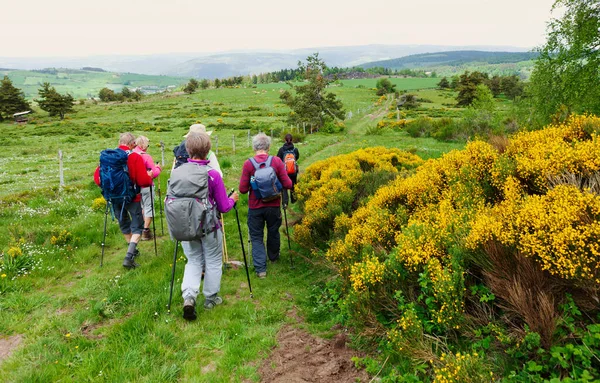 Grupp Vandrare Vandrar Stigen — Stockfoto