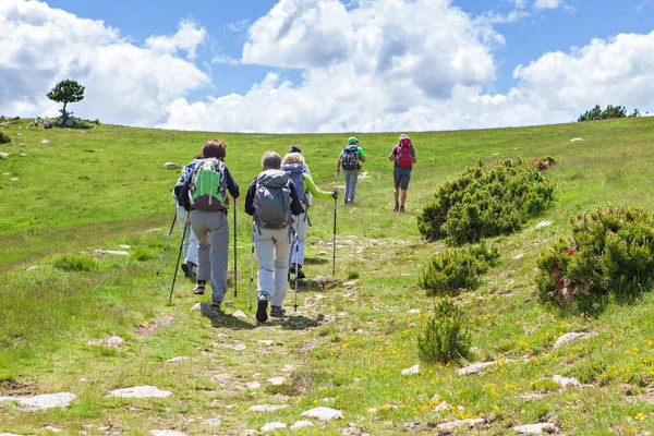 Group Hikers Walking Trial — Stock Photo, Image