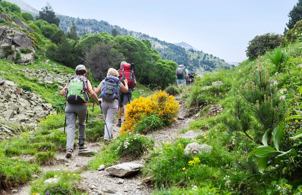 Group Hikers Walking Trial — Stock Photo, Image