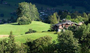 Chamonix yakınlarındaki alp manzarası