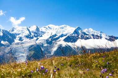Maymunlarda yürüyen bir kadın.