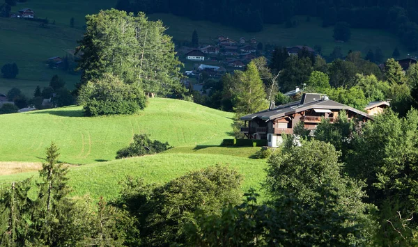 Alpine Landscape Chamonix — 图库照片