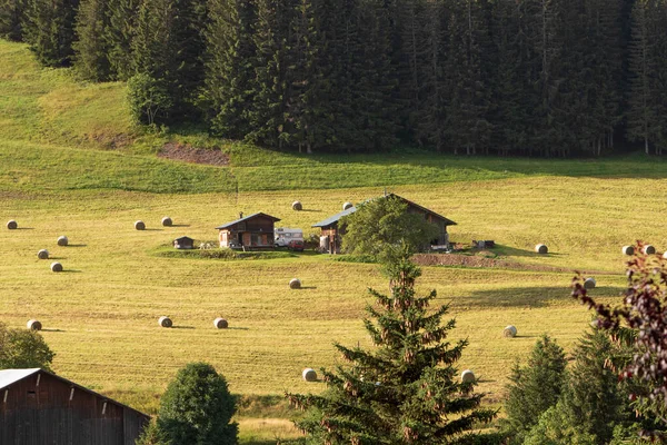 Alpenlandschap Huisje — Stockfoto