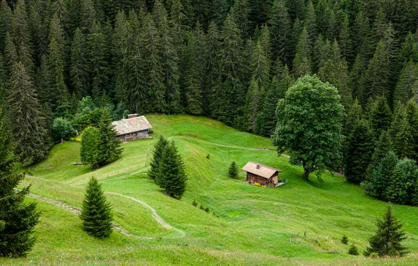 Ferienhaus Wald — Stockfoto