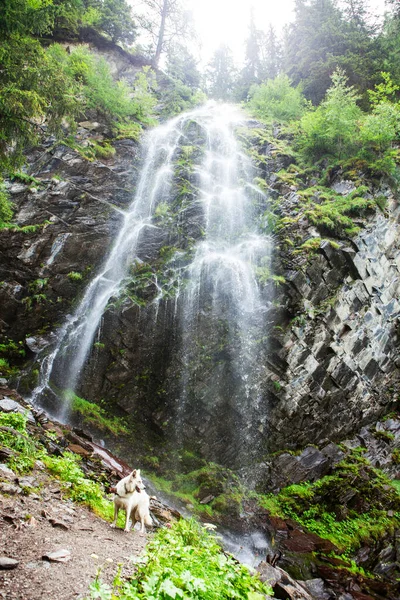 Cachoeira Nos Alpes — Fotografia de Stock