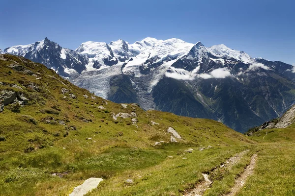 Ovejas Montañas Los Alpes — Foto de Stock
