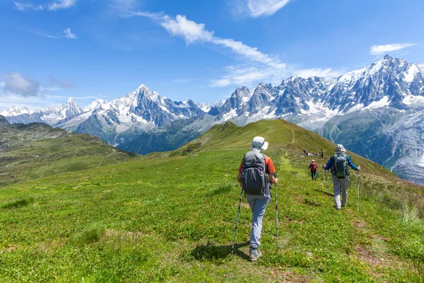 Alpler Aralığının Önündeki Yürüyüşçüler — Stok fotoğraf