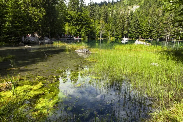 阿尔卑斯山中的小湖 — 图库照片