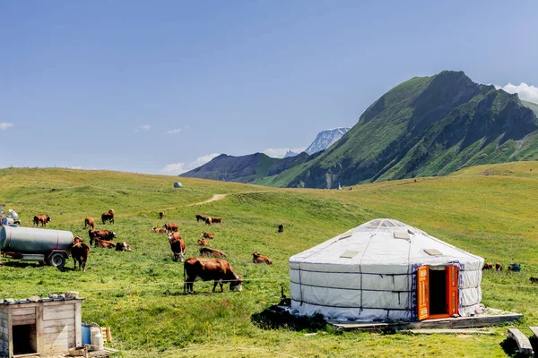 Yurt Franse Alpen — Stockfoto