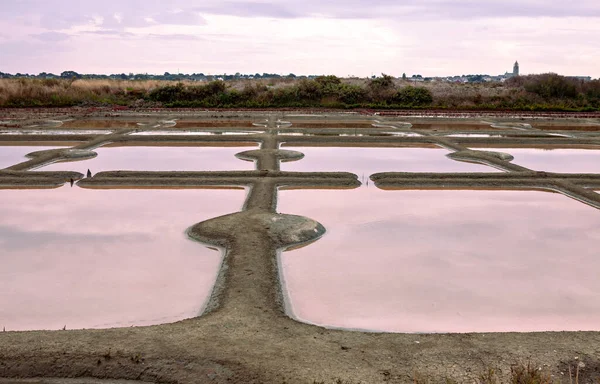 Pantano Salado Guerande — Foto de Stock